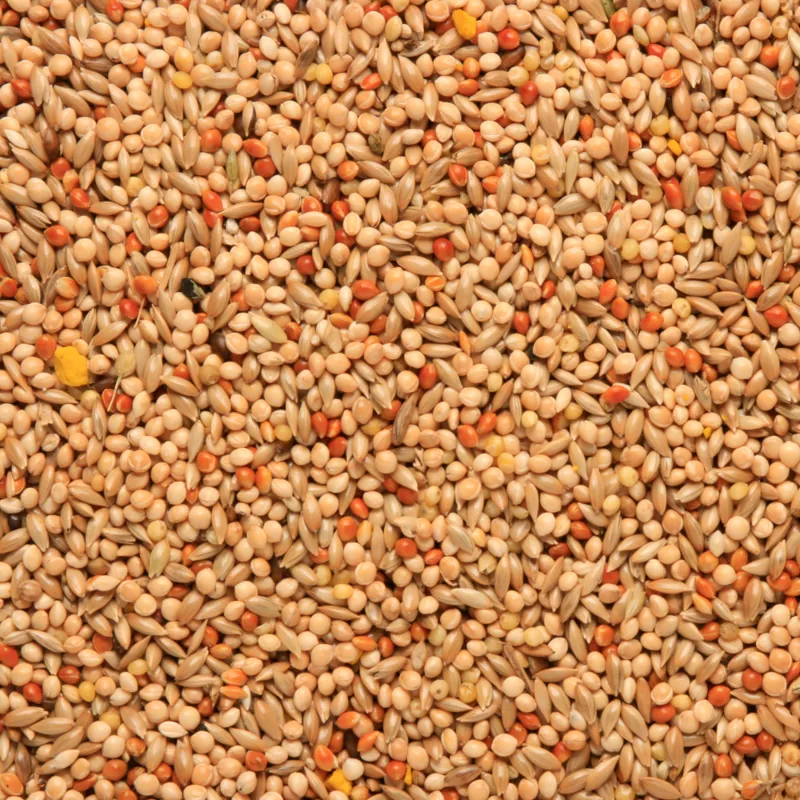 Skygold Quality Budgie Mix 20kg-1